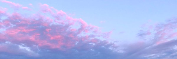 AmanCho40172446 Profile Banner