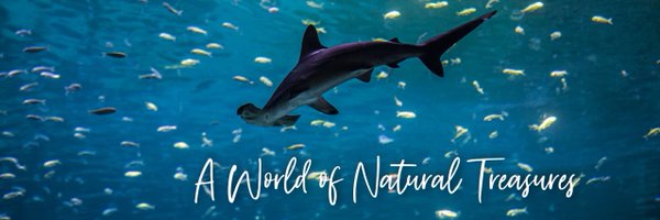 Thenationalaq Profile Banner