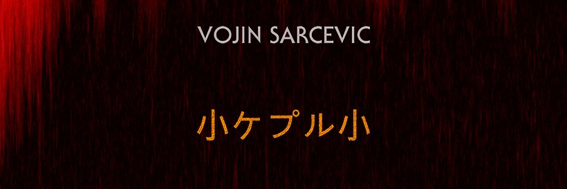 vojins's profile banner image