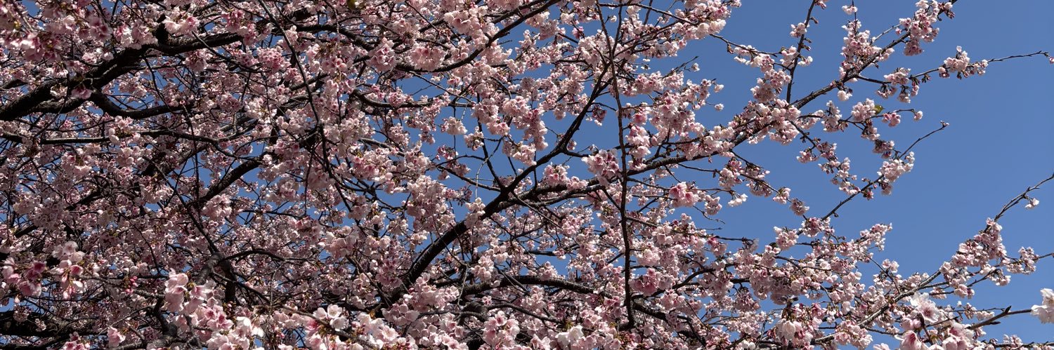 rinaᐢ..ᐢ 🎀39w→0m banner