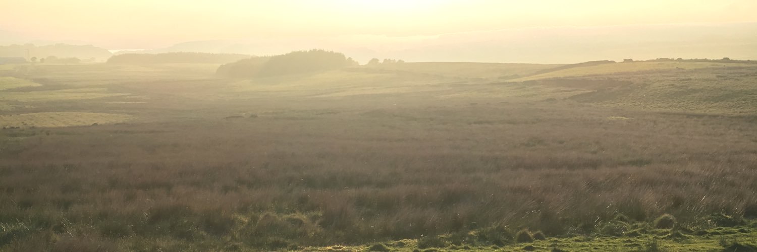 CathRen85's profile banner image