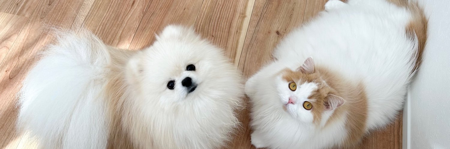 猫のレモンと犬のポテチ's banner