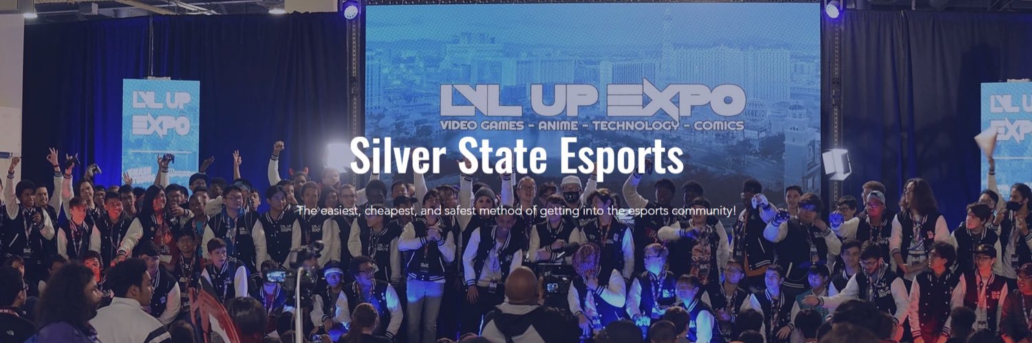 silverstatees's profile banner image