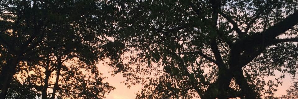 iangoh100's profile banner image