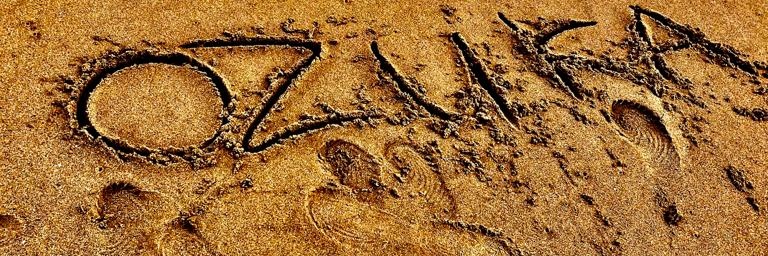 Snr Erik Lief🛡 banner