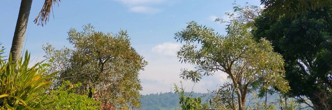 catchmeehh's profile banner image