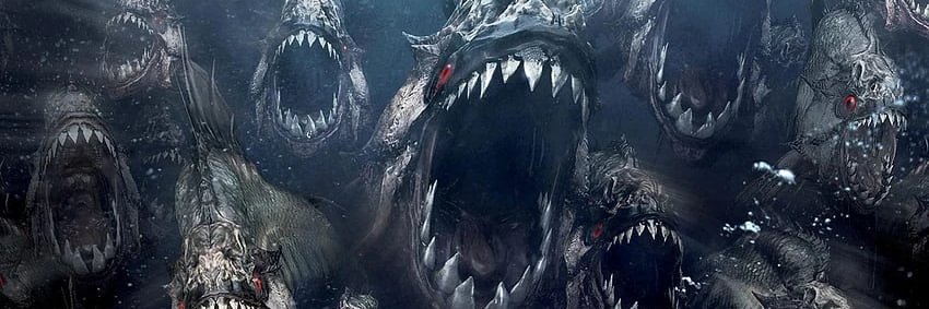 Twitter banner for @piranhas