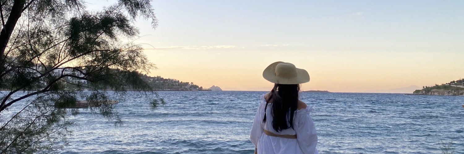 Sedakuruoglu1's profile banner image
