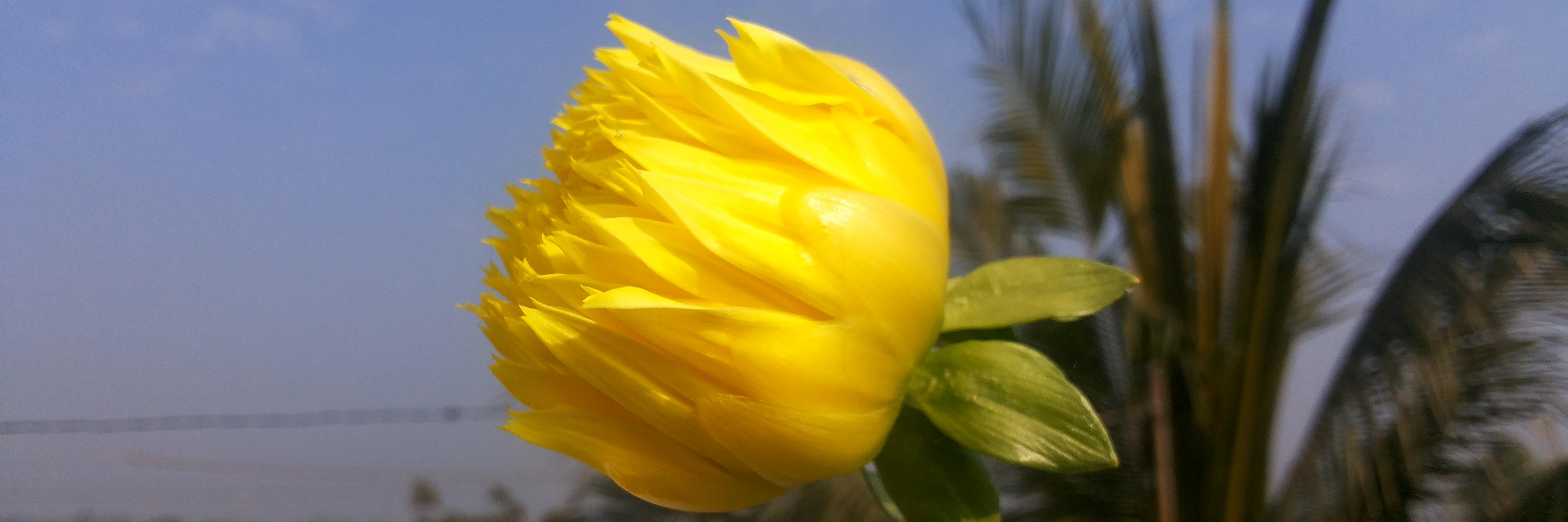 Biswajit Biswas banner