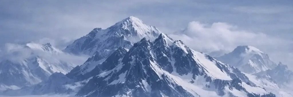 William Zhang banner