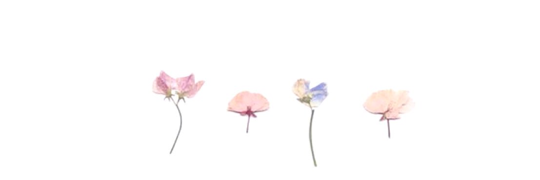 lovein_runa's profile banner image