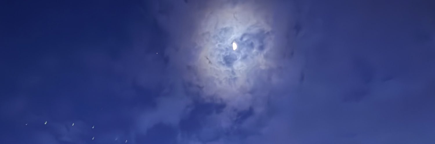 MML355's profile banner image