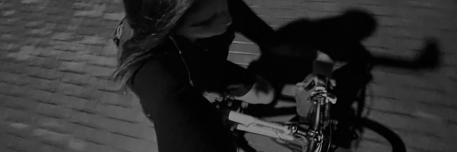 stinaav's profile banner image