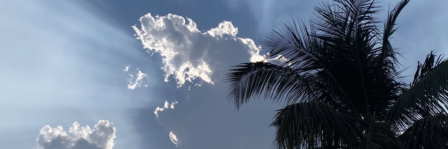 Ashunator's profile banner image