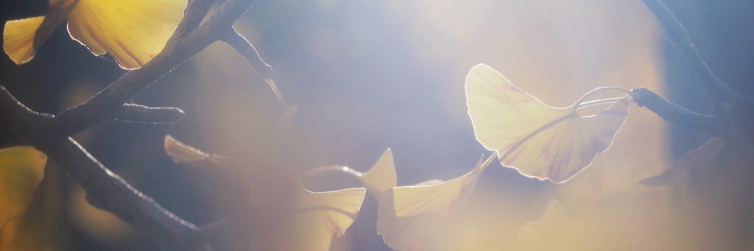 みさと banner