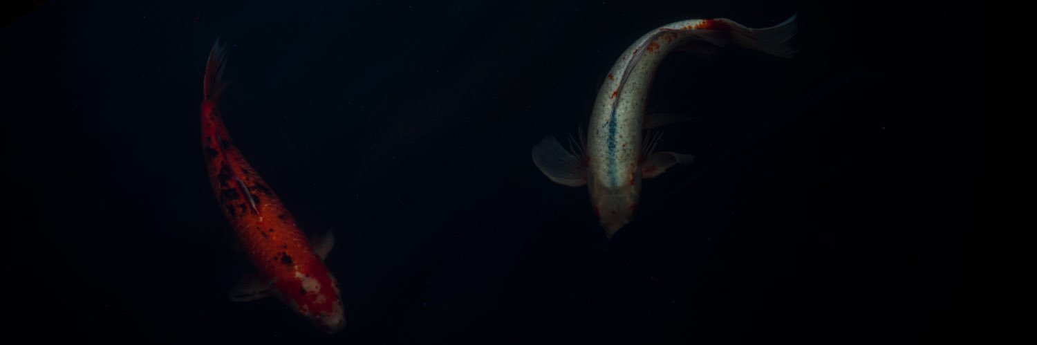 ReelShotsVA's profile banner image