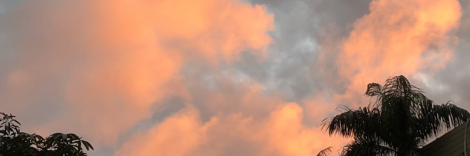 samho97's profile banner image