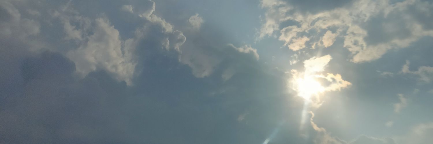 faeries༊*·˚ banner