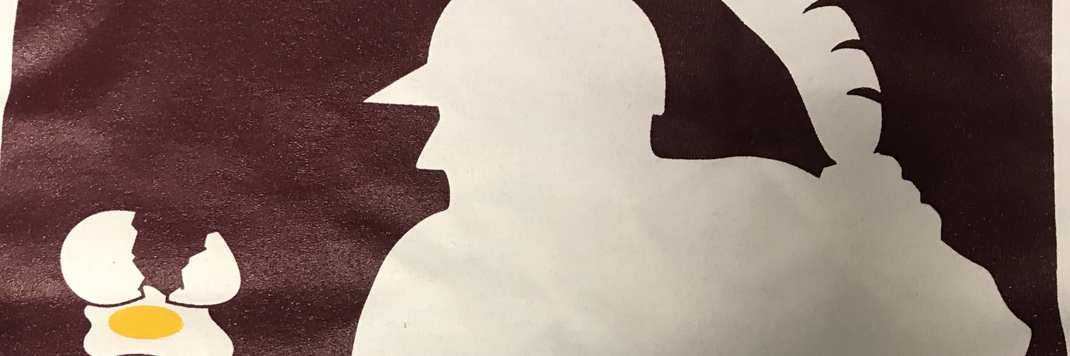 TWS__Baseball's profile banner image