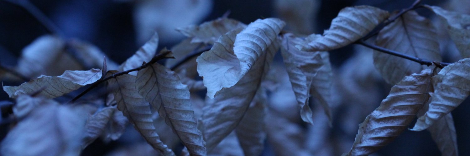 Steeve Pierre, MD, MSc. banner
