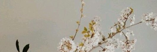 cheaeunlee's profile banner image