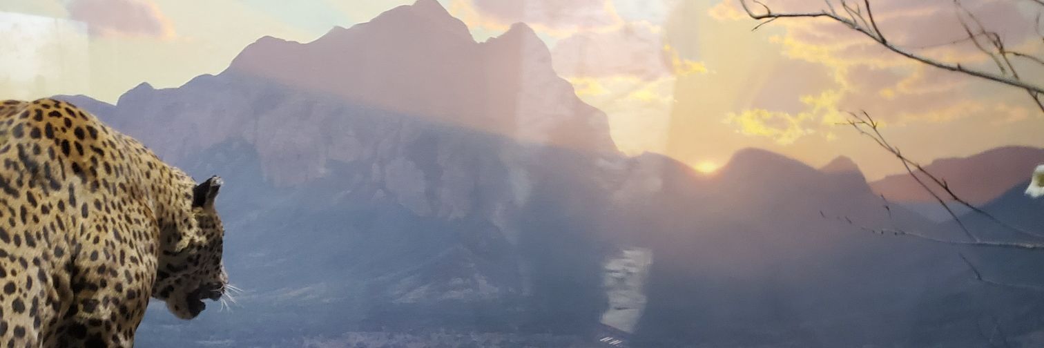cryptoholicDa's profile banner image