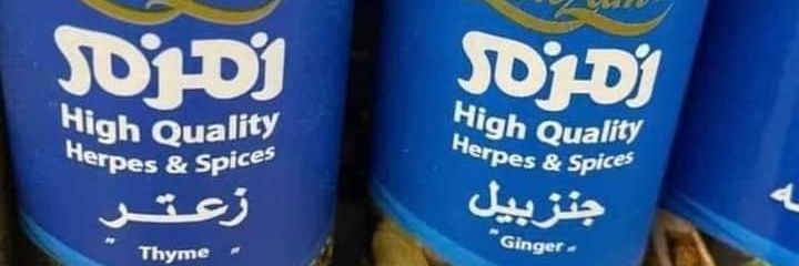 Jennifer Totonchy banner