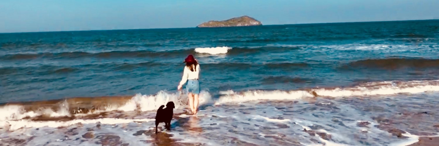 Georgia Stewart banner