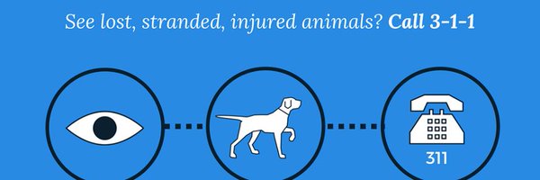 Boston Animal Control Profile Banner