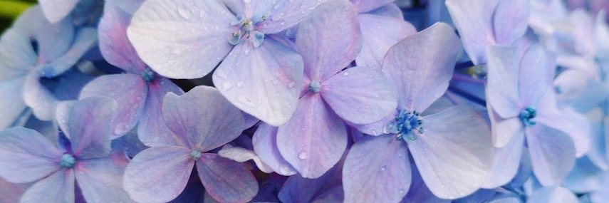 くぴ banner