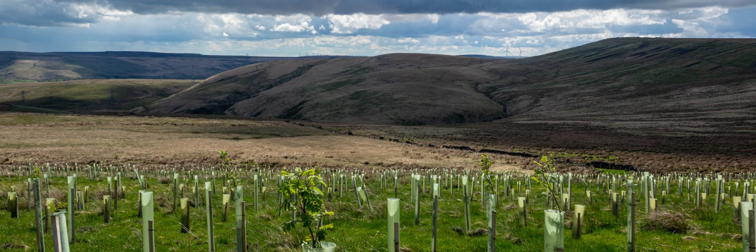 treesponsibilit's profile banner image