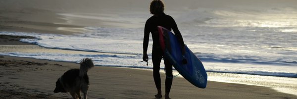 sunshinetotte Profile Banner