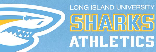 LIUXCTF Profile Banner