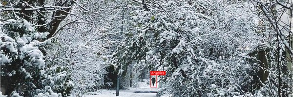 aviles_rivero Profile Banner