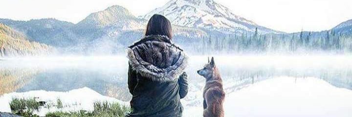 Эй, кто там? banner