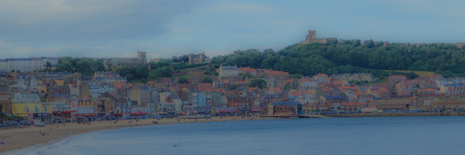 TMackrell's profile banner image