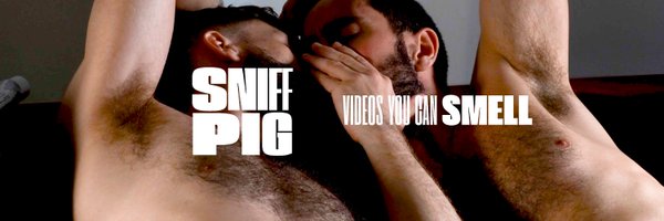 sniffpigmedia Profile Banner