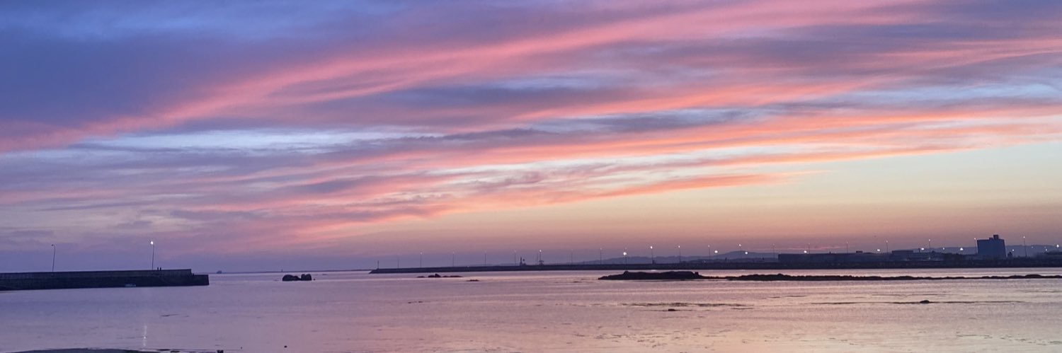 matilde_salgad0's profile banner image