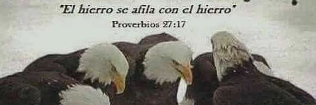 Rodo_Badilla's profile banner image
