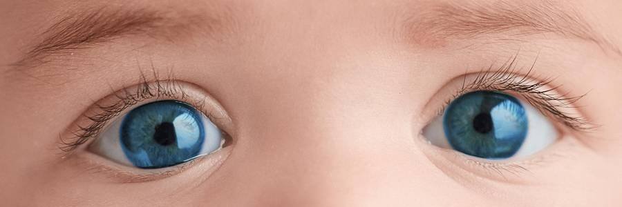 reVision Therapeutics, Inc. banner