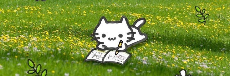 aelccu's profile banner image