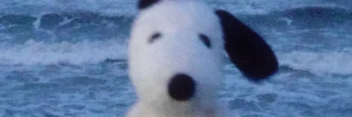 Simbiotic.Dog banner