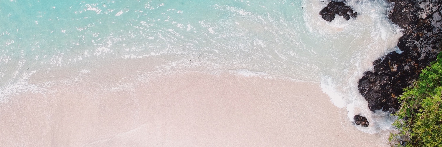 The Easiest of All the Hard Things banner