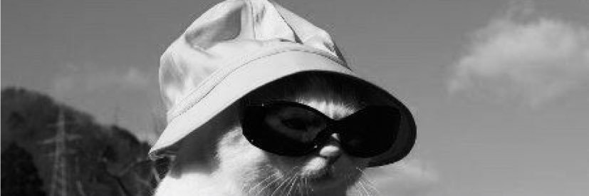 _mendoncinha_'s profile banner image