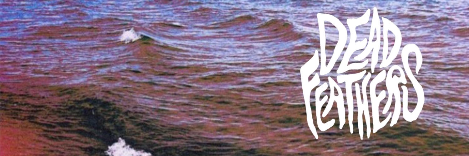 Dead Feathers banner