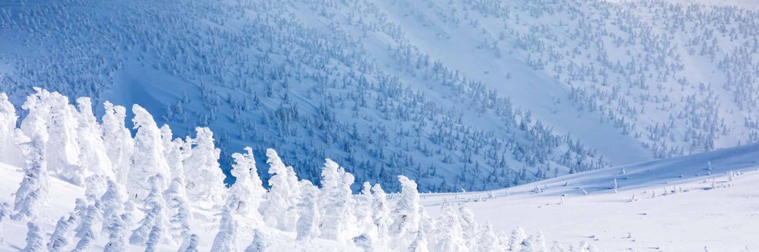 Marco Reggiani banner