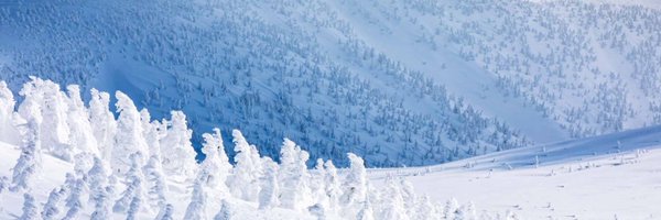 marcoreggiani_ Profile Banner