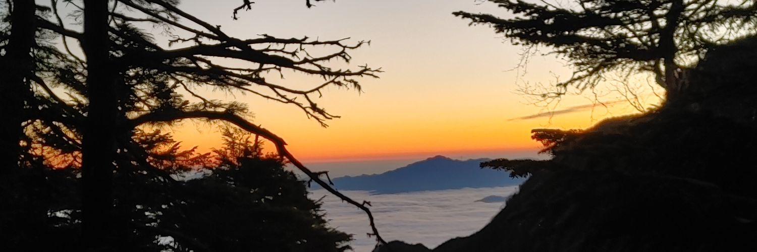 Shinmai_Massan's profile banner image