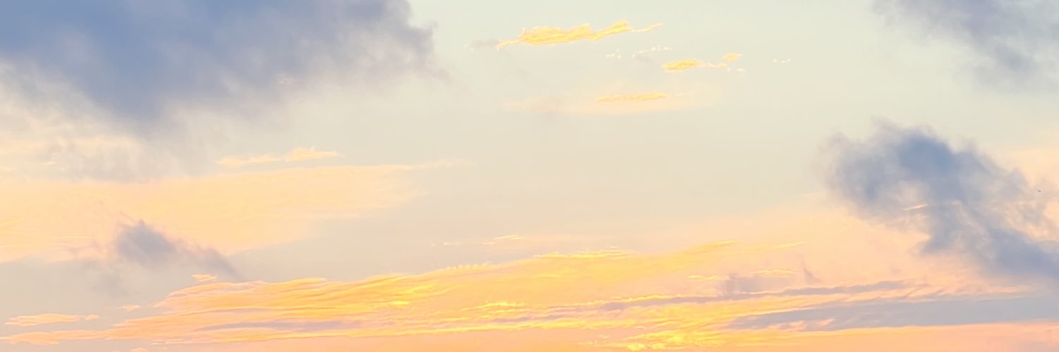 Ziganshaa's profile banner image