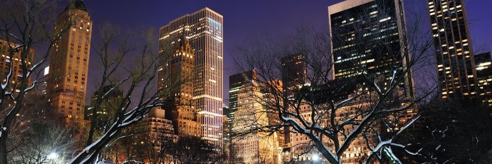 Piplette45's profile banner image